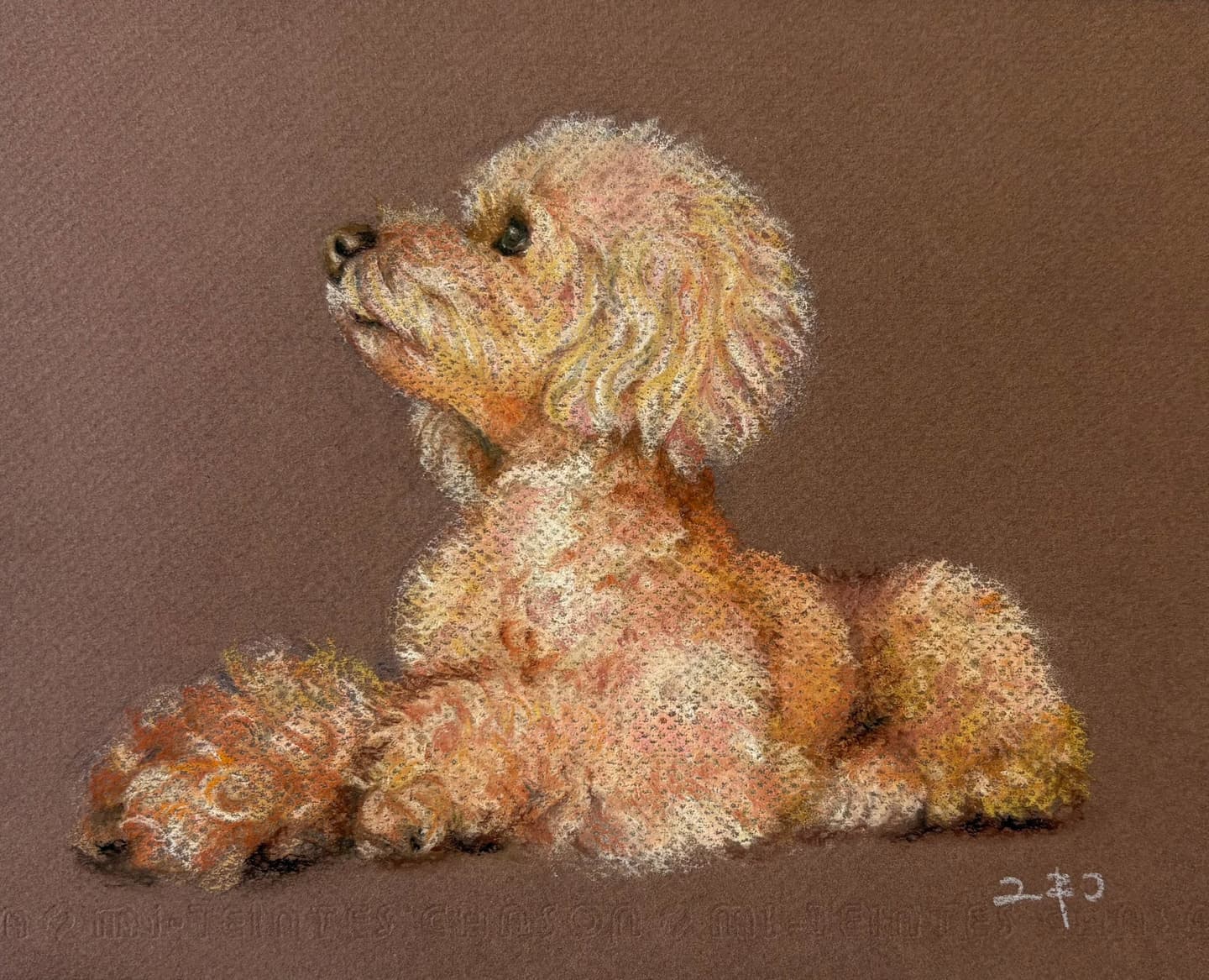 鈴木ユキコ作品